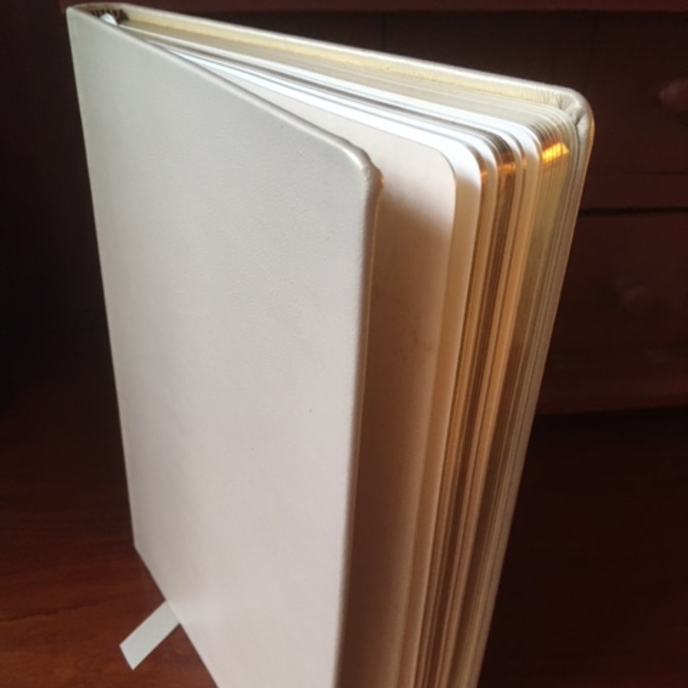 NWOT DKNY Champagne Leather Blank Journal